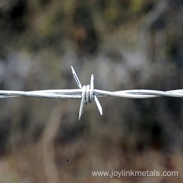 25kg Hot Dipped Galvanized Barbed Wire